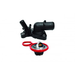TERMOSTATO (COMPLETO) VALCLEI 1169.90