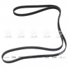 CORREA POLIV DE ACCESORIOS CONTINENTAL 5076/20