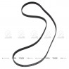 CORREA POLIV DE ACCESORIOS CONTINENTAL 5077/21