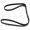 CORREA POLIV DE ACCESORIOS CONTINENTAL 5083/20