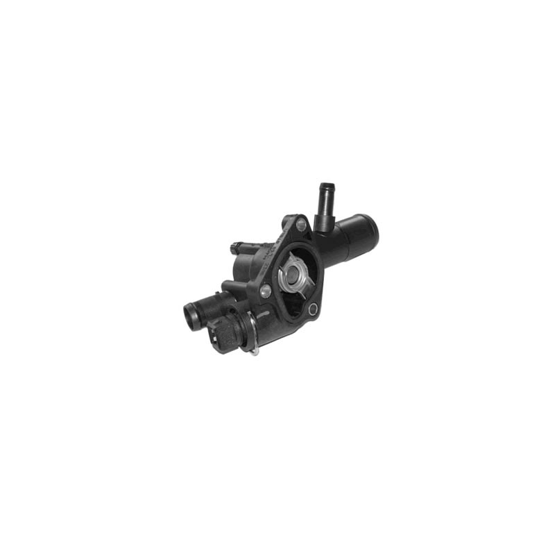 TERMOSTATO (COMPLETO) VALCLEI 1228.89