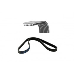 CORREA POLIV DE ACCESORIOS...