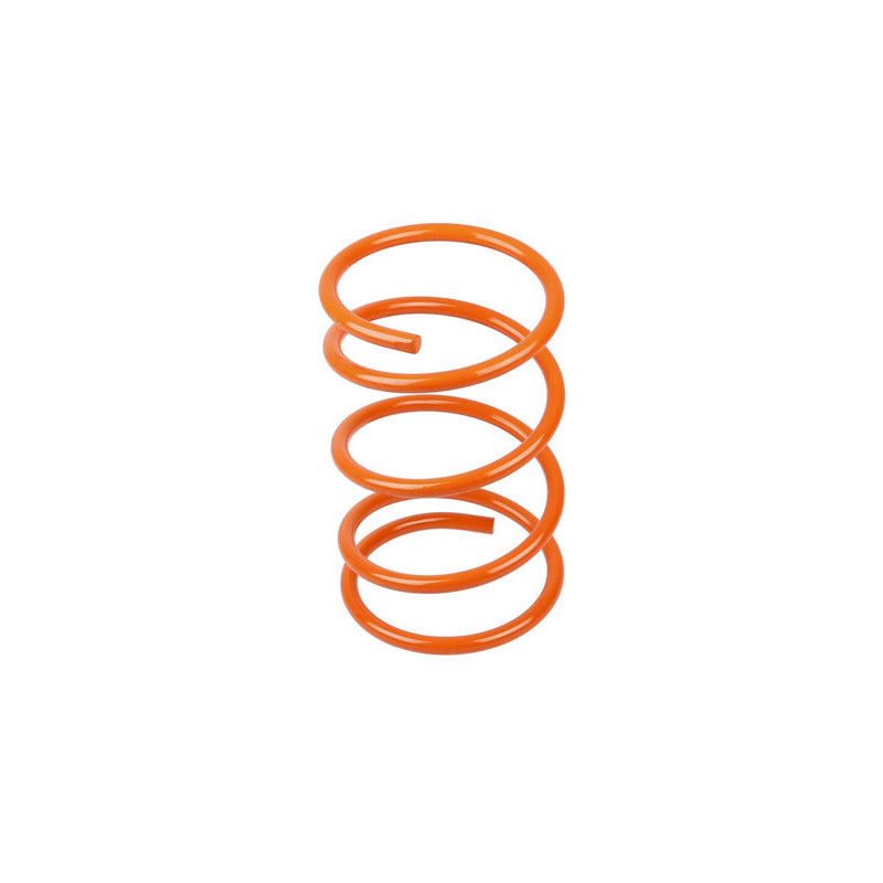 JUEGO DE RESORTES DE SUSPENSION (ESPIRALES) AG 191048X