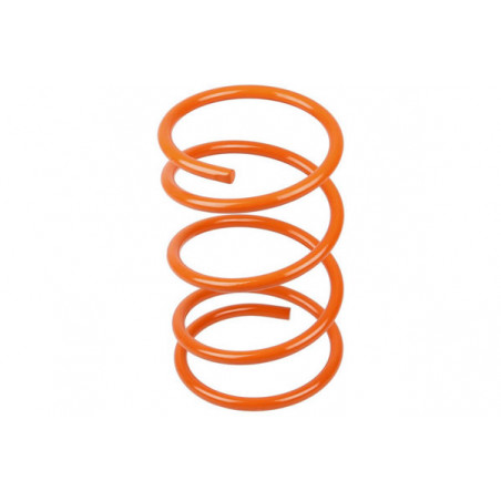 JUEGO DE RESORTES DE SUSPENSION (ESPIRALES) AG 191048X