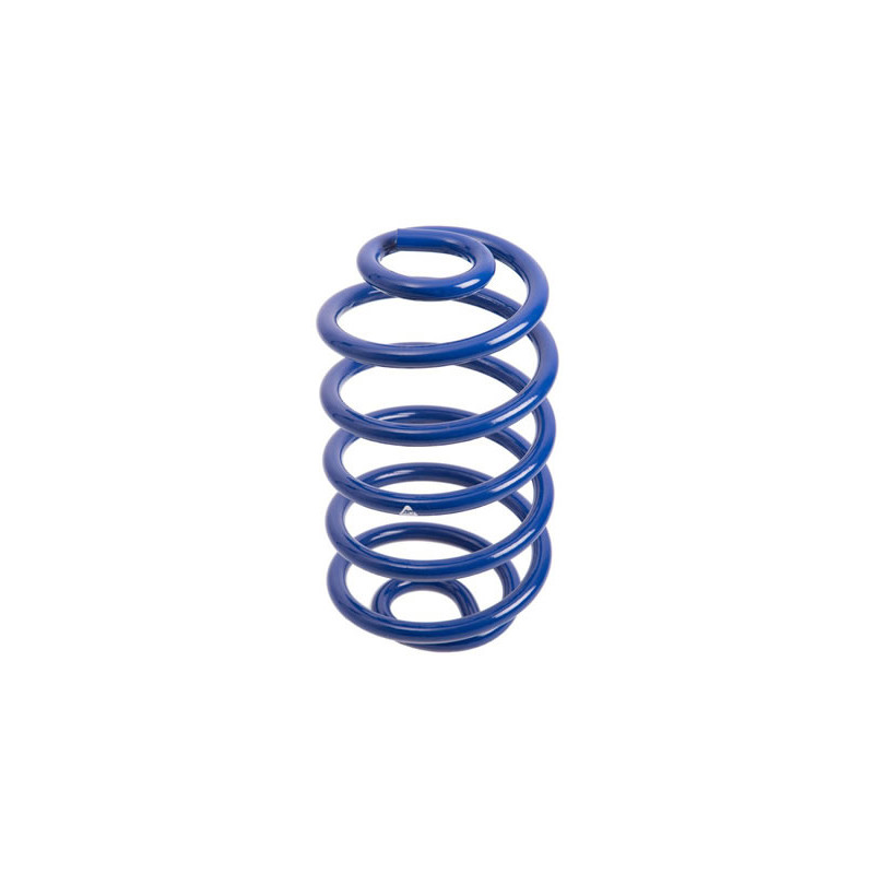 JUEGO DE RESORTES DE SUSPENSION (ESPIRALES) AG 041042K