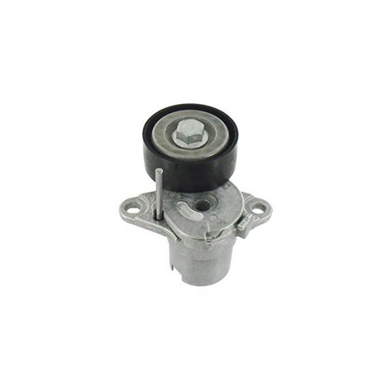TENSOR DE CORREA DE ACCESORIOS SKF VKM 31160