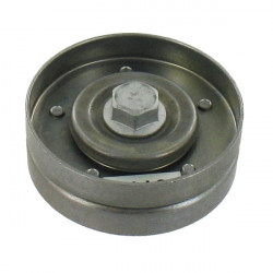 POLEA FIJA DE CORREA DE ACCESORIOS SKF VKM 31207