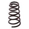 JUEGO DE RESORTES DE SUSPENSION (ESPIRALES) AG 071055TP