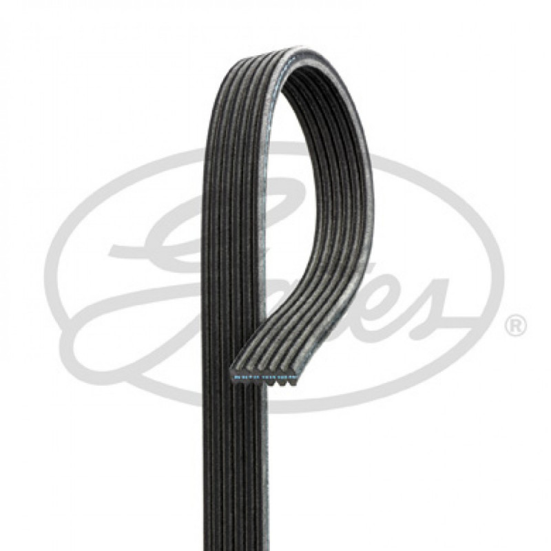 CORREA POLIV DE ACCESORIOS GATES 6DPK1195-9
