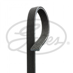 CORREA POLIV DE ACCESORIOS GATES 6DPK1195-9