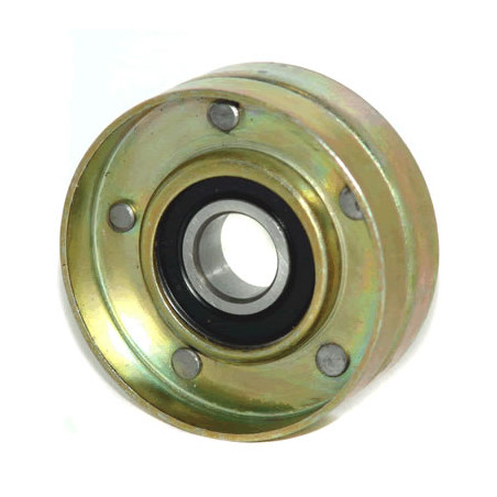 POLEA FIJA DE CORREA DE ACCESORIOS BTP 11077