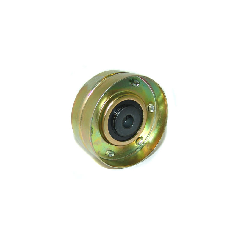 POLEA FIJA DE CORREA DE ACCESORIOS BTP 11104