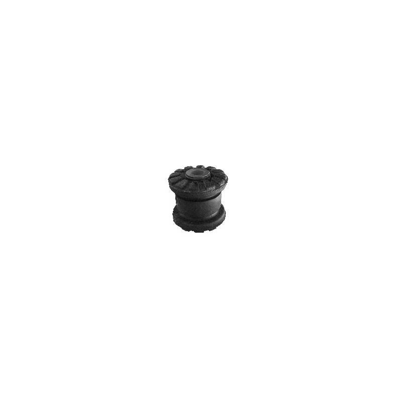 BUJE DE PARRILLA DE SUSPENSION VTH 5450