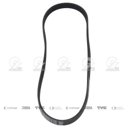 CORREA POLIV DE ACCESORIOS...