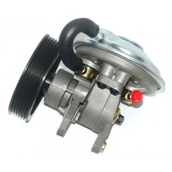 BOMBA DEPRESORA DE FRENO (VACIO) RM 187