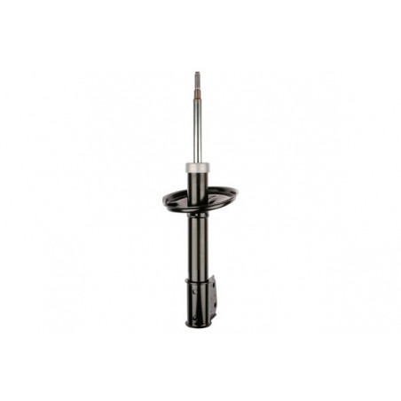 AMORTIGUADOR DE SUSPENSION EUROREPAR 1642998480