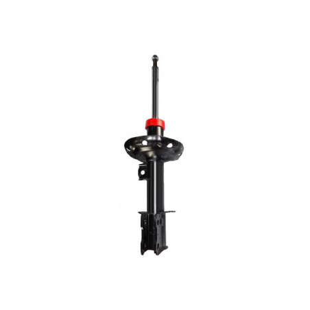AMORTIGUADOR DE SUSPENSION EUROREPAR 1642998580