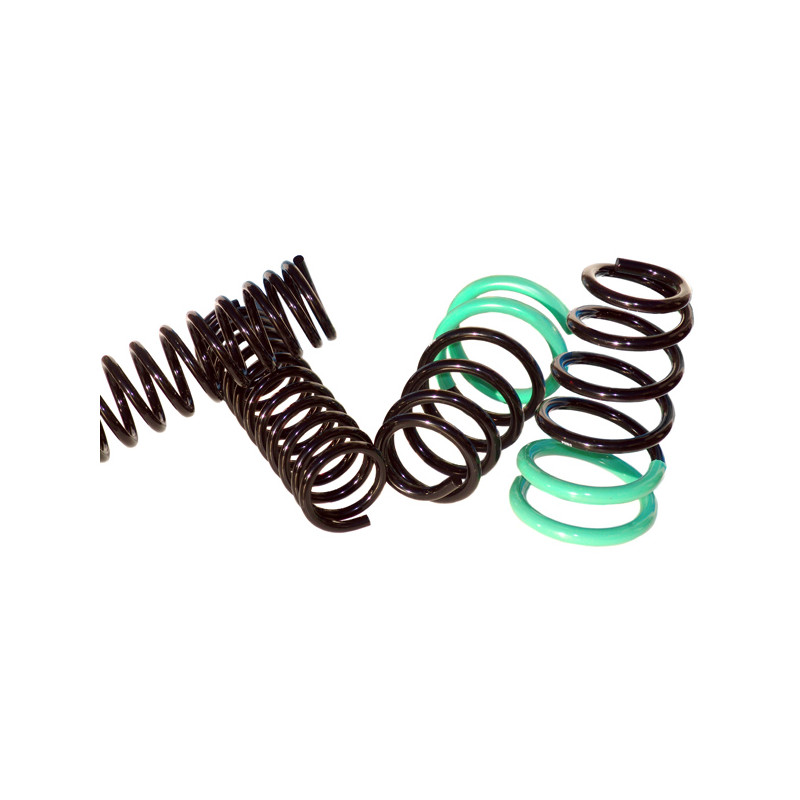 JUEGO DE RESORTES DE SUSPENSION (ESPIRALES) AG 213117