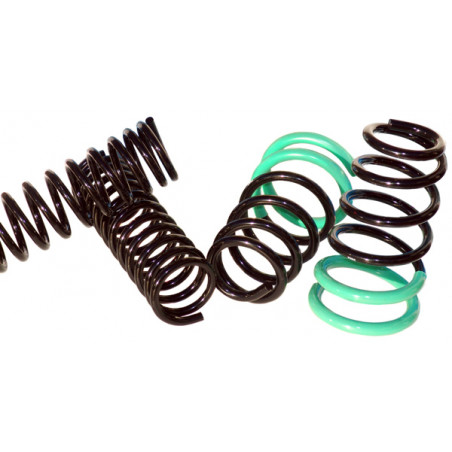 JUEGO DE RESORTES DE SUSPENSION (ESPIRALES) AG 213117