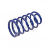 JUEGO DE RESORTES DE SUSPENSION (ESPIRALES) AG 251040K
