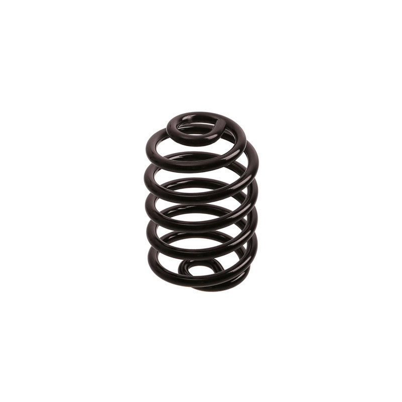 JUEGO DE RESORTES DE SUSPENSION (ESPIRALES) AG 041047R