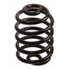 JUEGO DE RESORTES DE SUSPENSION (ESPIRALES) AG 041047R