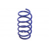 JUEGO DE RESORTES DE SUSPENSION (ESPIRALES) AG 041055K