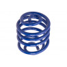 JUEGO DE RESORTES DE SUSPENSION (ESPIRALES) AG 041056K