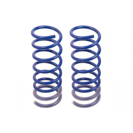JUEGO DE RESORTES DE SUSPENSION (ESPIRALES) AG 031033K