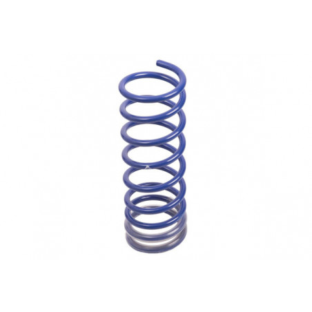 JUEGO DE RESORTES DE SUSPENSION (ESPIRALES) AG 072176K