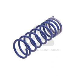 JUEGO DE RESORTES DE SUSPENSION (ESPIRALES) AG 072176K