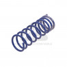 JUEGO DE RESORTES DE SUSPENSION (ESPIRALES) AG 072176K