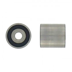 POLEA FIJA DE CORREA DE DISTRIBUCION SKF VKM 21004