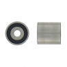 POLEA FIJA DE CORREA DE DISTRIBUCION SKF VKM 21004