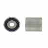 POLEA FIJA DE CORREA DE DISTRIBUCION SKF VKM 21004