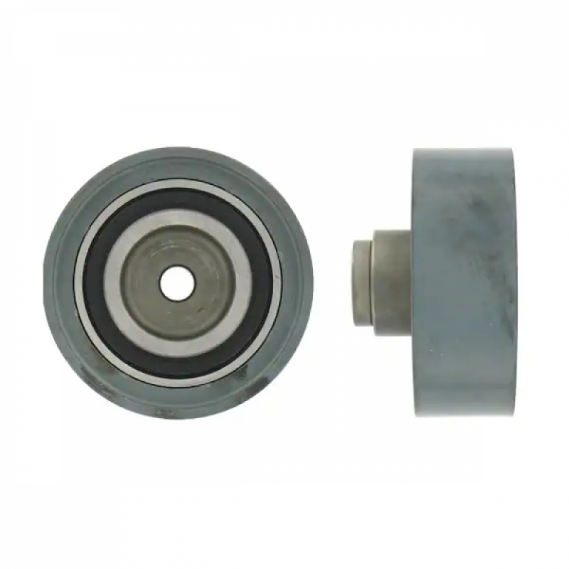 POLEA FIJA DE CORREA DE DISTRIBUCION SKF VKM 21130