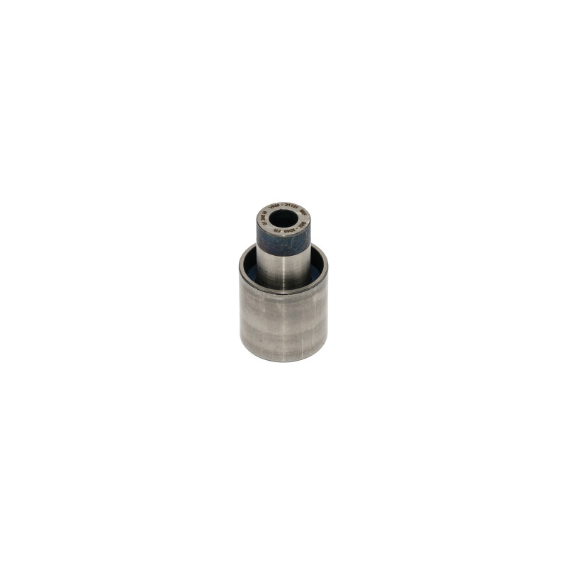 POLEA FIJA DE CORREA DE DISTRIBUCION SKF VKM 21131