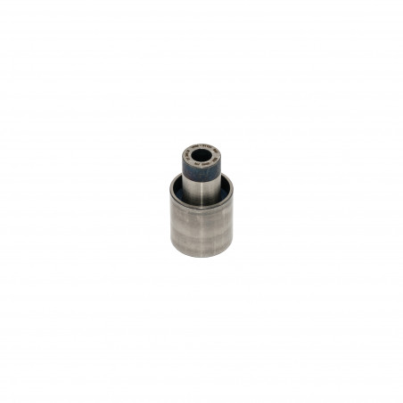 POLEA FIJA DE CORREA DE DISTRIBUCION SKF VKM 21131