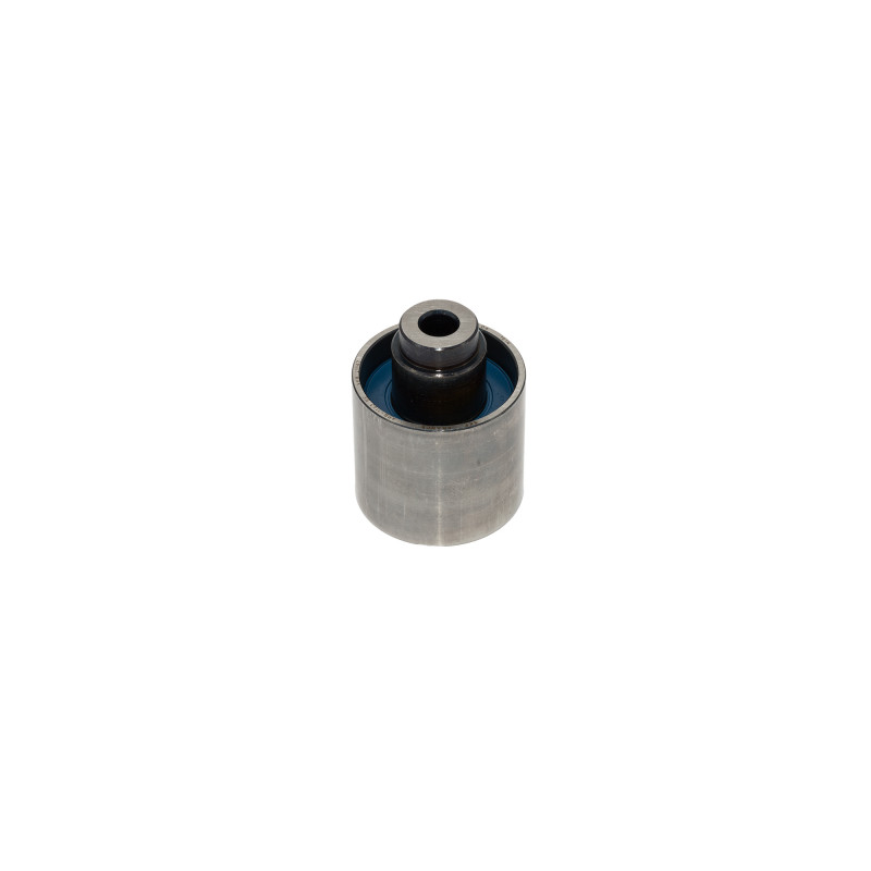 POLEA FIJA DE CORREA DE DISTRIBUCION SKF VKM 21147