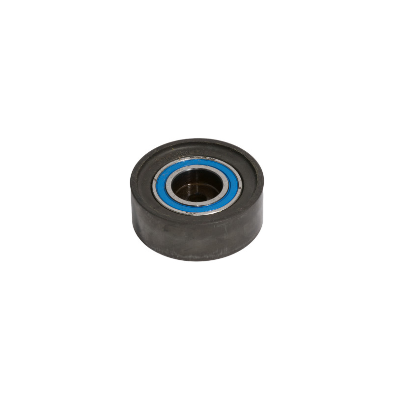 POLEA FIJA DE CORREA DE DISTRIBUCION SKF VKM 21269