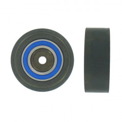 POLEA FIJA DE CORREA DE DISTRIBUCION SKF VKM 21269