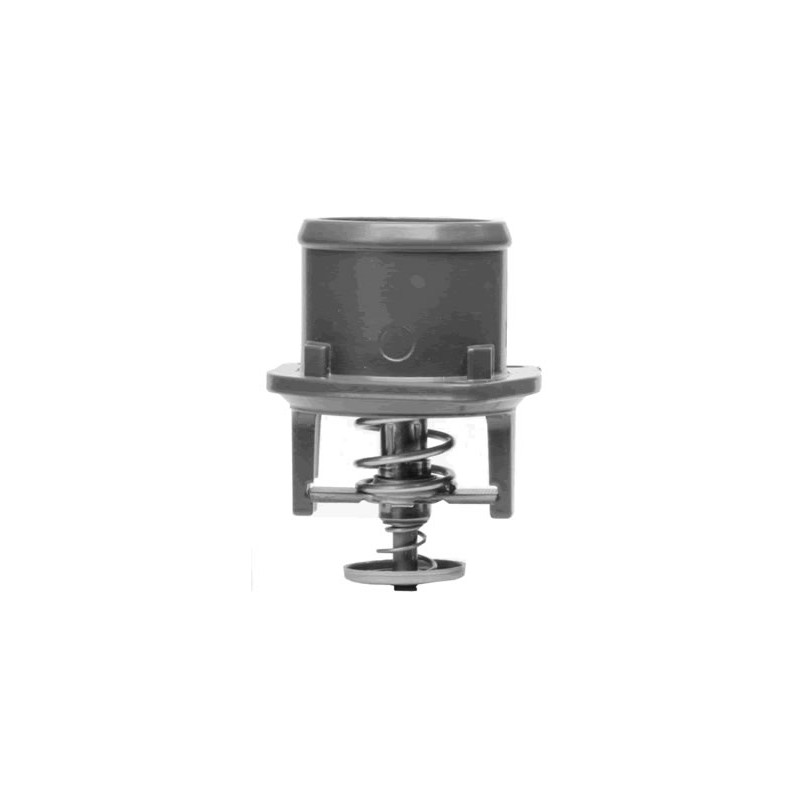 TERMOSTATO (COMPLETO) VALCLEI 4488.80