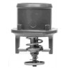 TERMOSTATO (COMPLETO) VALCLEI 4488.80