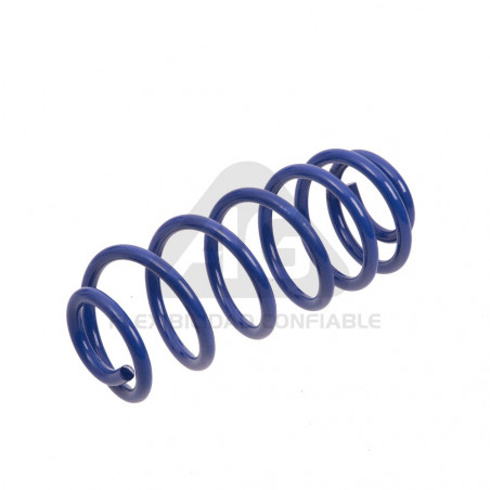 JUEGO DE RESORTES DE SUSPENSION (ESPIRALES) AG 191058K