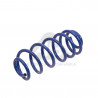 JUEGO DE RESORTES DE SUSPENSION (ESPIRALES) AG 191058K