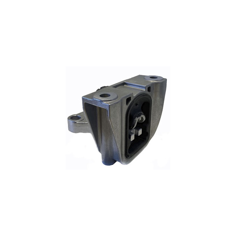 SOPORTE DE MOTOR PRUYER 190705