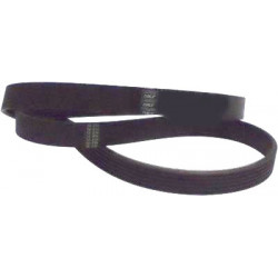 CORREA POLIV DE ACCESORIOS...