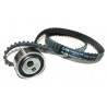 KIT DE CORREA DE DISTRIBUCION GATES K58114X17XS-B