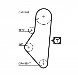 KIT DE CORREA DE DISTRIBUCION GATES K58114X17XS-B