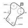 KIT DE CORREA DE DISTRIBUCION GATES K58136X25.4XS-B